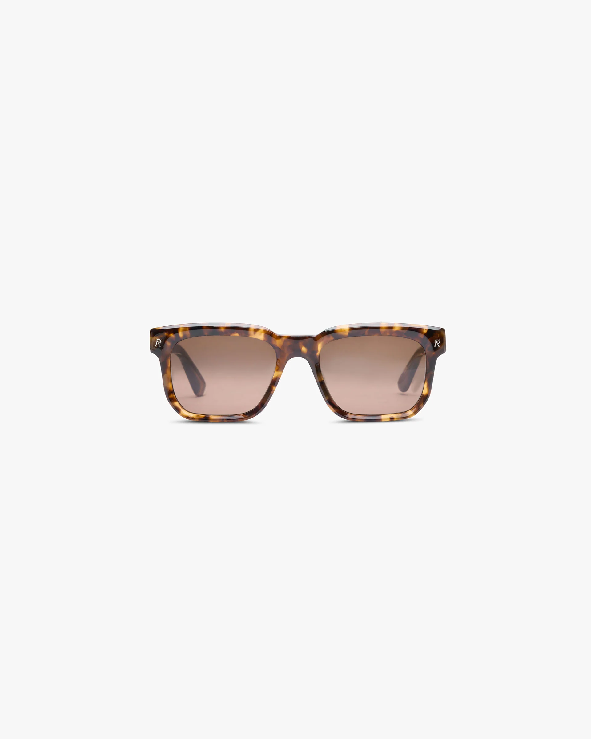 Hampton Sunglasses - Tortoise