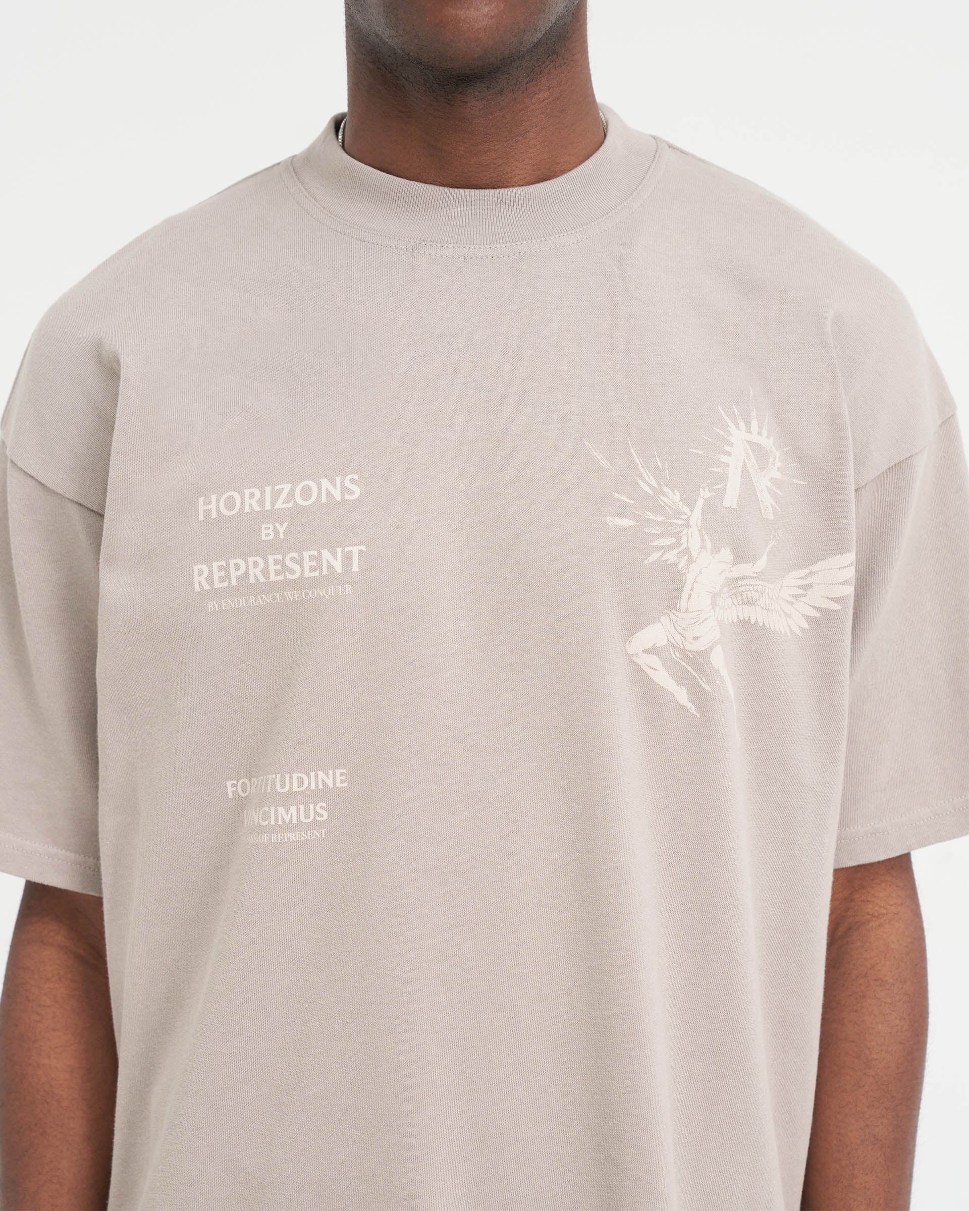 Icarus T-Shirt - Taupe - Image 6