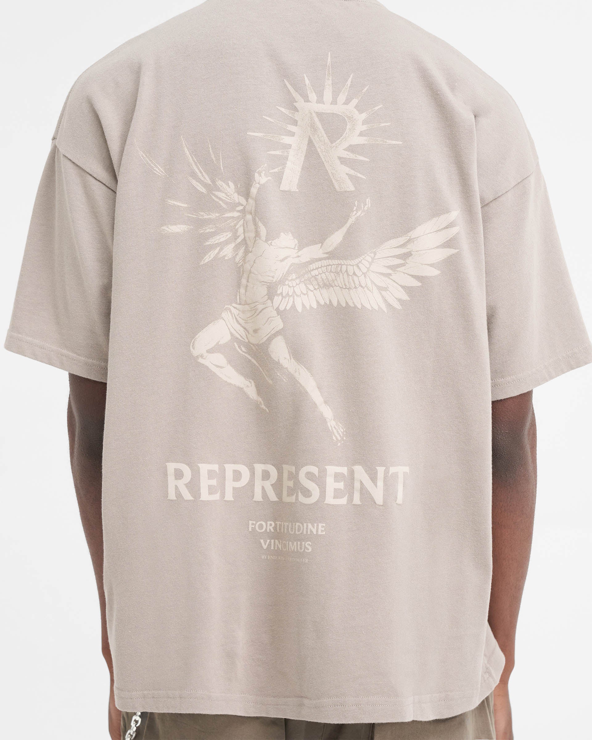 Icarus T-Shirt - Taupe - Image 7