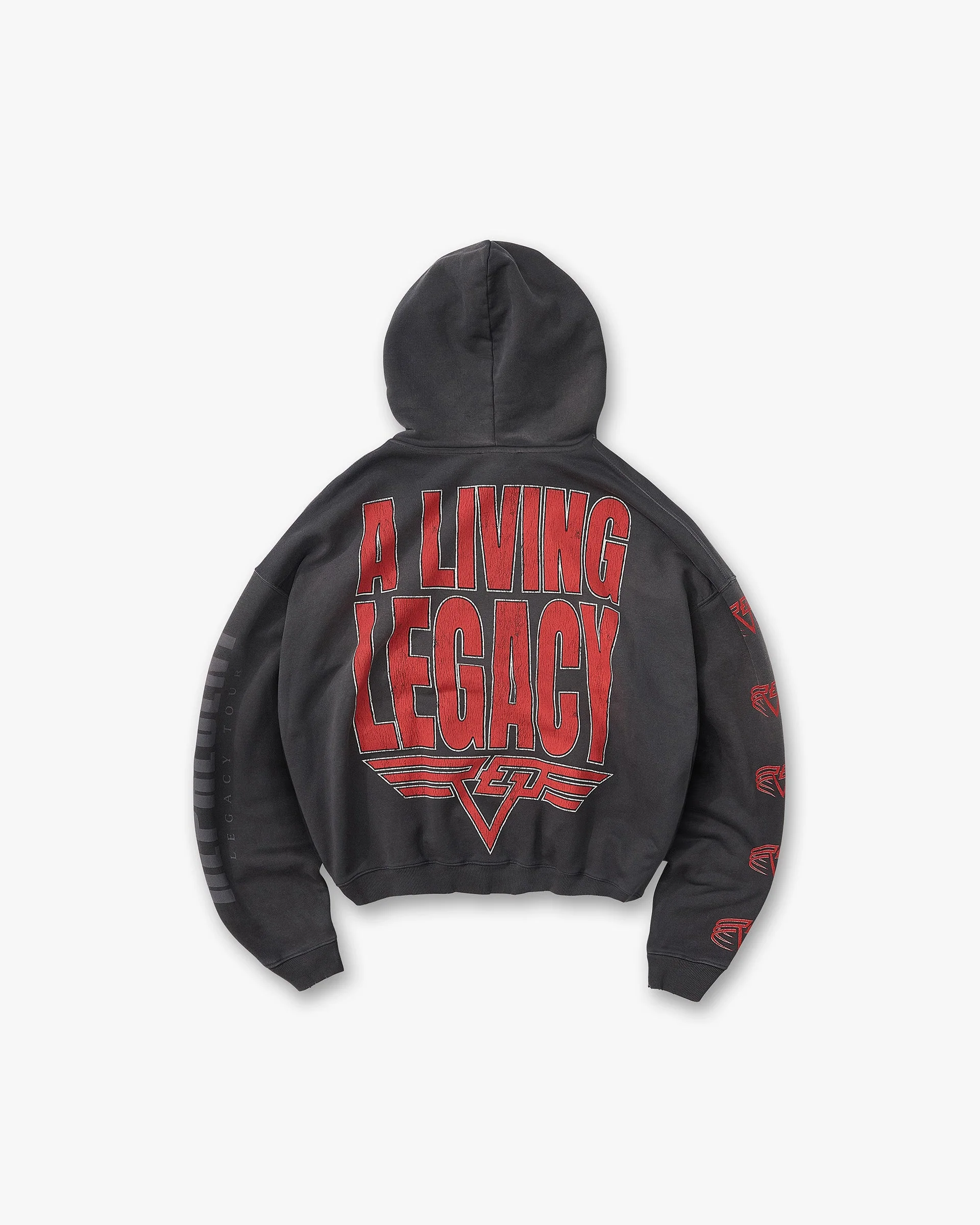 Reversible Living Legacy Tour Hoodie - Sun Fade Grey - Image 6